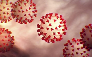 5 Misteri Besar Virus Corona Ini Belum Terjawab Meski Sudah 6 Bulan Mewabah