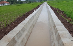 Bikin Takjub, Para Pria Ini Sulap Saluran Irigasi Penuh Sampah Jadi Kolam Ikan Nila Hingga Koi