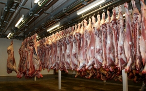 Pandemi COVID-19, MUI Izinkan Daging Kurban Diawetkan dan Didistribusikan Dalam Bentuk Olahan