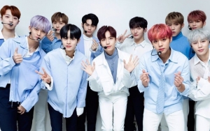 Semua Member Wanna One Bikin Takjub Pernah Viral di Era 'Produce 101' Season 2