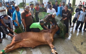 Jelang Idul Adha, Pemprov DKI Siapkan Pusat Pemotongan Kurban Sesuai Protokol COVID-19