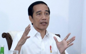 Komite COVID-19 Dikritik, Jokowi Diminta Lebih Optimalkan Lembaga dan Kementerian