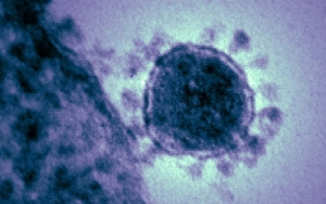 Ahli Di AS Nekat Ciptakan Virus Sejenis Corona Dan ‘Sebarkan’ Ke Sejumlah Negara, Kenapa?