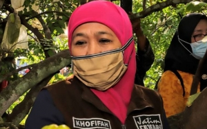 Bupati Jember Dimakzulkan, Gubernur Jatim Khofifah Beri Respons Singkat 
