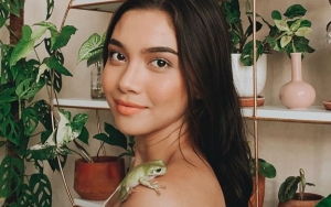 Angela Gilsha Ungkap Fakta Lain Soal Kontroversi Bayi Nangis di Pesawat