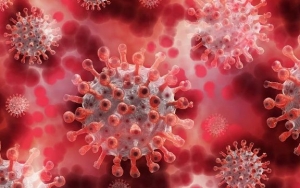 WHO Klaim Penyebaran Virus COVID-19 Tak Terpengaruh Musim