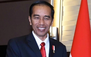 Jokowi Kurban Sapi di 34 Provinsi, Beratnya Hampir 1 Ton