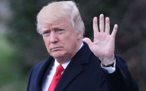 Usulan Trump Tunda Pilpres AS Akibat COVID-19 Ditolak Mentah-Mentah