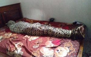 Sering Disanksi Sosial, Gilang 'Fetish Kain Jarik' Bangga Umumkan Penyimpangan Yang Dialami