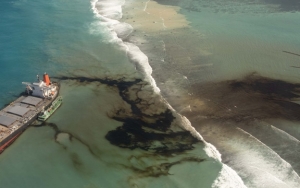Warga Mauritius Sumbang Rambut untuk Atasi Tumpahan Minyak di Laut, Bagaimana Caranya?
