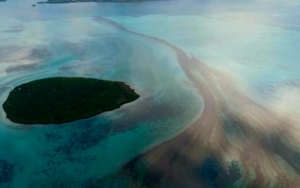 Mauritius Minta Ganti Rugi Setelah Kapal Jepang Tumpahkan Minyak ke Laut dan Rusak Ekosistem