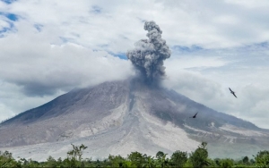 Gunung Sinabung Kembali Erupsi, Pemerintah Beri Imbauan Ini