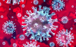 Kabar Baik, Peneliti Ungkap Tak Ada Kasus Infeksi Ulang Virus Corona