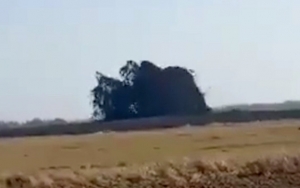 Heboh Semburan Lumpur di Blora, ESDM Jateng Sebut Cuma Air Garam