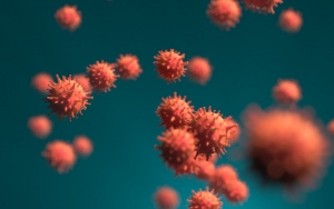 Virus Corona yang Bermutasi 10 Kali Lebih Menular Ternyata Sudah Ada di RI Sejak April
