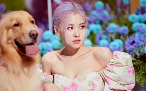 Gaun Seksi Rose BLACKPINK di 'Summer Diary' Ternyata Hadiah Spesial, dari Siapa?