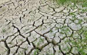 BMKG Waspadai Potensi Kekeringan Meteorologis di 3 Wilayah Ini