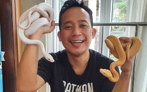 Kata Anjay Dilarang, Denny Cagur Sedih Tak Bisa Tulis Nama Lengkap Sang Idola