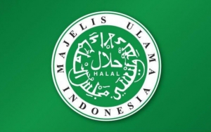 MUI Tak Sepakat Sertifikasi Penceramah, Beri Saran Ini Sebagai Alternatif
