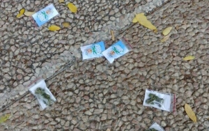 Paket Berisi Ganja Dijatuhkan dari Langit Tel Aviv Israel