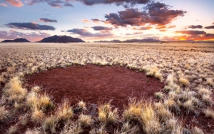 Dipercaya Sebagai 'Jejak Kaki Dewa', Ilmuwan Ungkap Misteri Lingkaran Peri di Gurun Namib