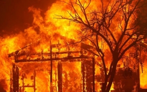 Kebakaran Hutan di AS Disebut Bikin Warga Rentan Corona 