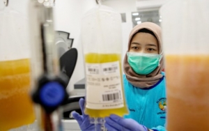 Dibandrol Rp 63 Juta per 13 Botolnya, Apa itu 'Obat Corona' Gamaras?