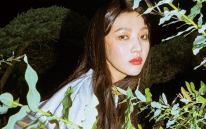 Joy Red Velvet Bijak Banget Singgung Standar Kecantikan, Akui Bangga dengan Diri Sendiri