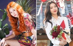 Sana TWICE dan Joy Red Velvet Dibilang Punya Kemiripan Tuai Komentar Tak Setuju