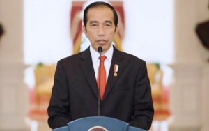 Tak Hanya Kalimantan, Jokowi Mau Perluas Food Estate Sampai ke NTT dan Papua