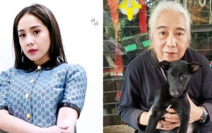 Sempat Murka pada Nagita, Ayah Gideon Kembali Religius-Pamer Gaya Kece Pakai Batik Tuai Pujian