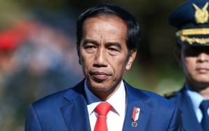 Kunjungan Kerja Jokowi ke Kalteng di Kala Mahasiswa-Buruh Serbu Istana 