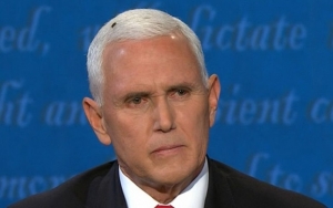 Momen Viral Kepala Mike Pence Dihinggapi Lalat Kini Dijadikan Inspirasi Wig Halloween