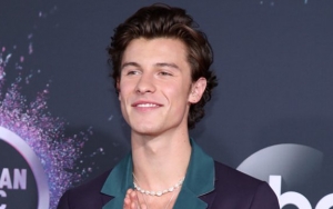 Shawn Mendes Umumkan Perilisan Film Dokumenter 'In Wonder'