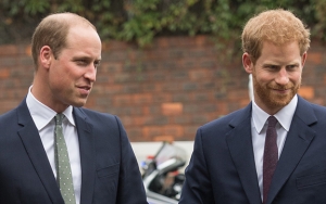 Pakar Kerajaan Ungkap Pangeran William Cemburu pada Popularitas Harry 