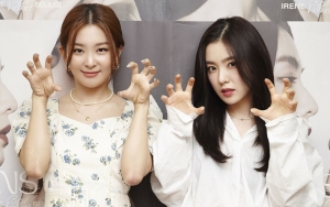Irene dan Seulgi Red Velvet Dikaitkan dengan Rumor Artis Berperilaku Kasar