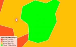 Berikut Daftar 12 Kota/Kabupaten Zona Hijau Corona Di Indonesia
