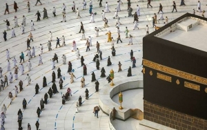 Kemenkes Minta Jemaah Umrah RI Hindari Peternakan Unta, Kenapa?