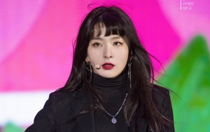 Wajah Cantik Seulgi Red Velvet Tuai Pujian, Dibilang Tak Menua dari Masa Rookie