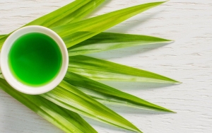 Turunkan Tekanan Darah Tinggi Hingga Redakan Stres, Ini 8 Manfaat Daun Pandan yang Jarang Diketahui