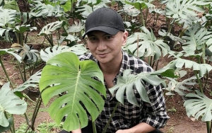Anji Mendadak Sampaikan Ingin Pensiun Jadi Musisi, Ini Alasannya