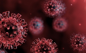 Jangan Panik! WHO Ungkap Belum Ada Bukti Mutasi Corona di Inggris Lebih Mematikan