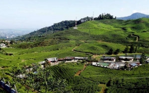 Tak Bawa Hasil Rapid Test Antigen, Ratusan Wisatawan Puncak Bogor Diminta Putar Balik