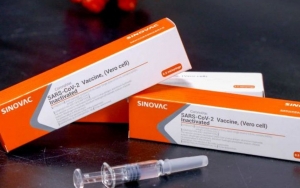 Benarkah Vaksin Sinovac Mengandung Sel Kera Afrika sampai Formalin? Bio Farma Buka Suara