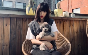 Miliki Lini Pakaian Sendiri, Zero Anjing Peliharaan Tae Yeon Kini Resmi Jadi Miliarder