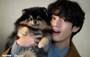 V BTS Dipermalukan Anjing Sendiri di TV