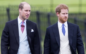 Warisan Putri Diana Ini Diduga Timbulkan Perpecahan Antara Pangeran William dan Harry