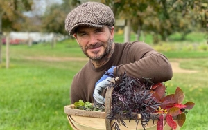 Kantongi Izin Distrik Setempat, David Beckham Bakal Bangun Gudang Megah Di Rumahnya