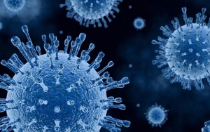 Terapi Plasma Darah Disebut Tak Ampuh Lawan Varian Baru Corona di Afrika Selatan