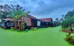 Genangan Air Banjir di Pekalongan Berwarna Hijau, Ini Penjelasan BPBD